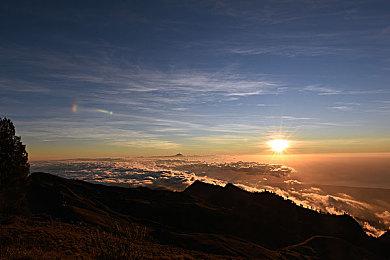 《Fate＆Samurai Remnant》现已发售 综合评价“多半好评”